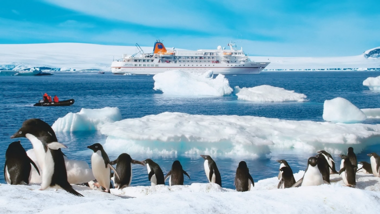 Северный Ледовитый океан пингвины