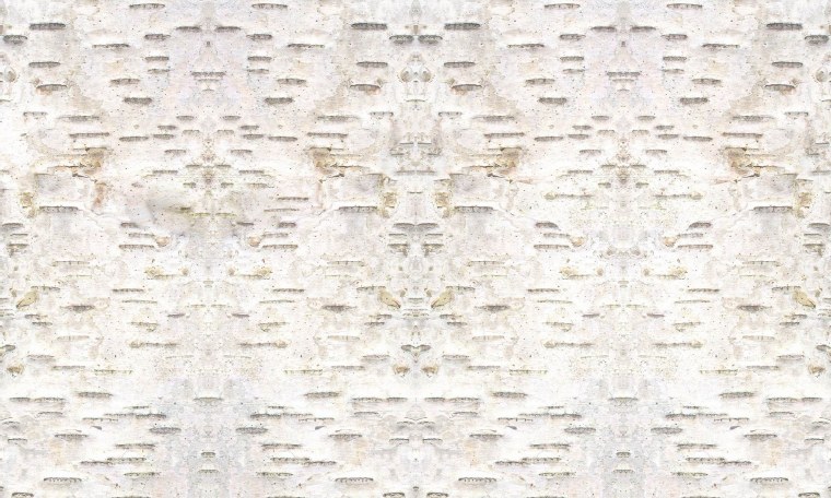 Берестяной свиток