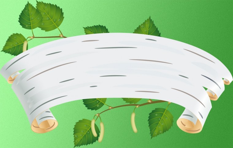 Кусок бересты