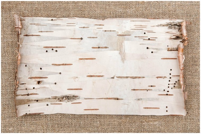 Береста фон для фотошопа