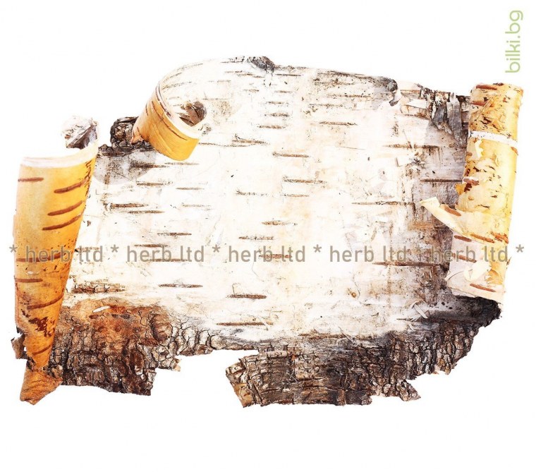 Состаренная бумага свиток