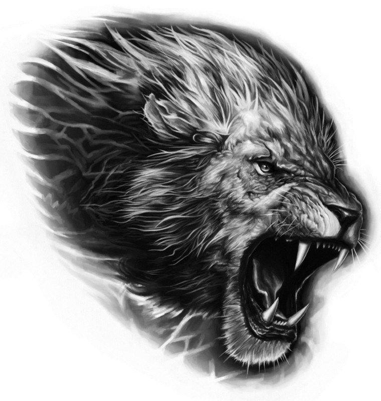 Львиный оскал тату эскиз