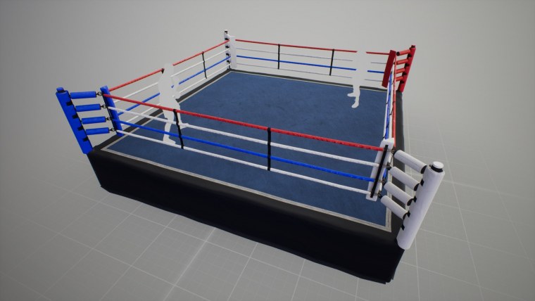 Боксерский ринг юфс