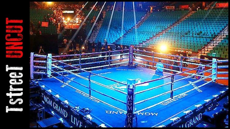 Ринг боксерский 4х4 м Боевая зона