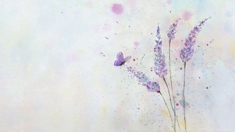 Обои на телефон цветы