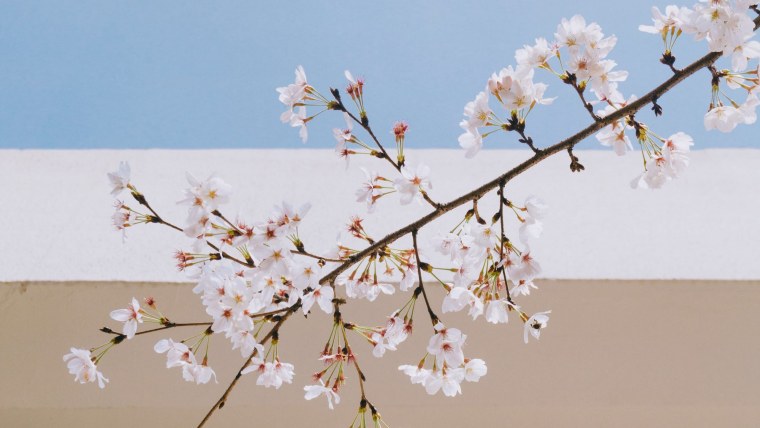 Весенние Мотивационные обои