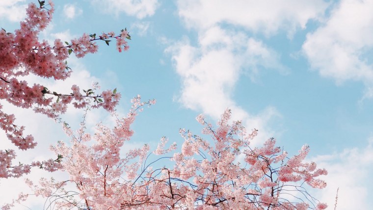 Корея природа Эстетика