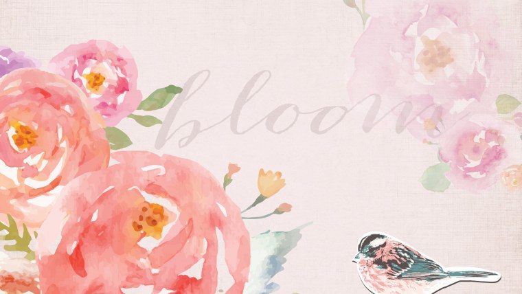 Цветы на однотонном фоне