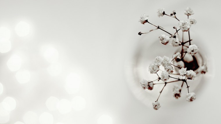 Сакура блоссом