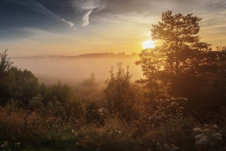 Ах Заря Заря