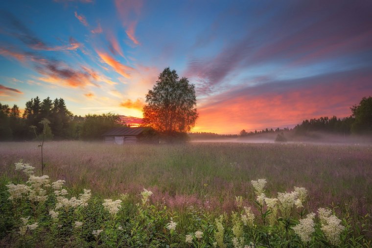 Луг на рассвете