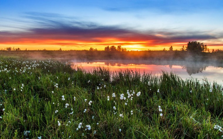 Раннее утро