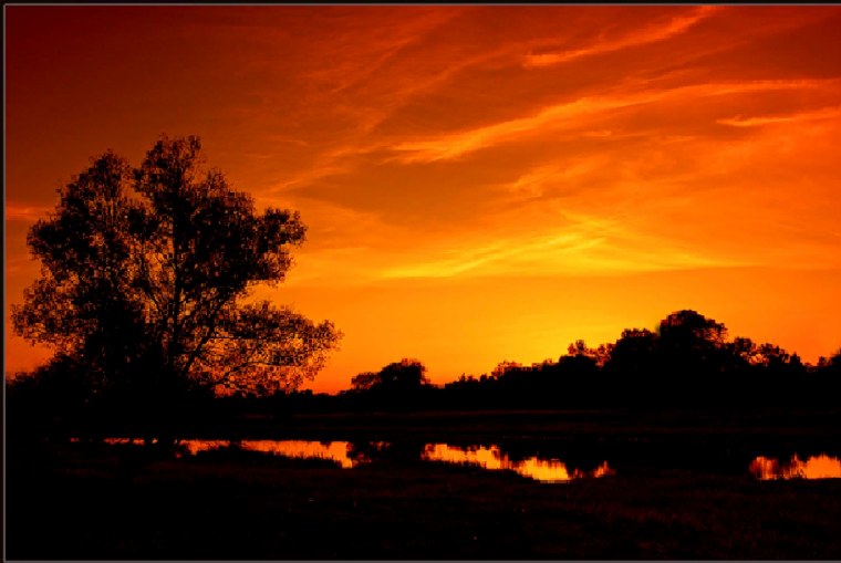 Заря Востока