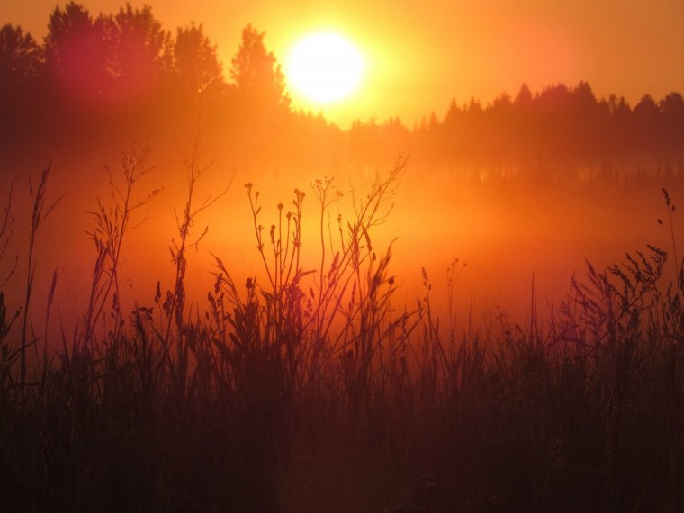 Заря Заря Заря алая Заря