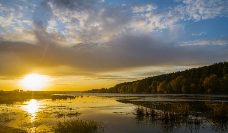 Утро (Утренняя Заря) (1534)