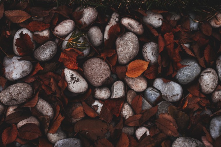 Скетчинг грибы