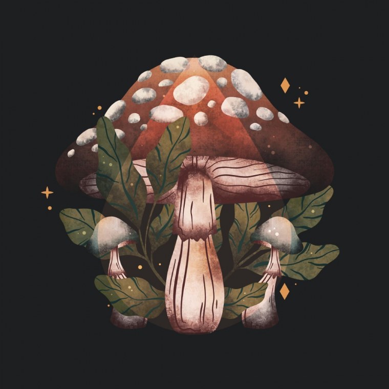 Грибы Эстетика Пинтерест