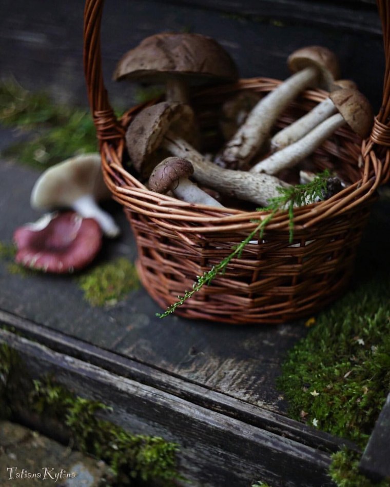 Goblincore Эстетика мухоморы