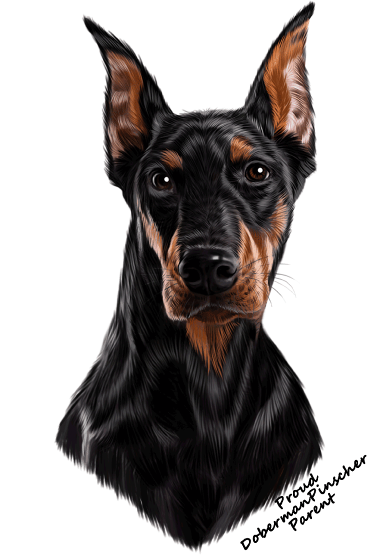 Доберман прозрачный