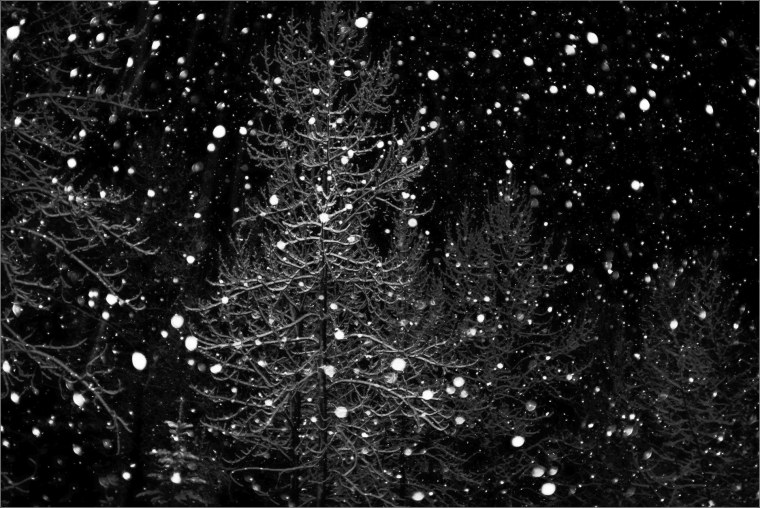 Черный снег