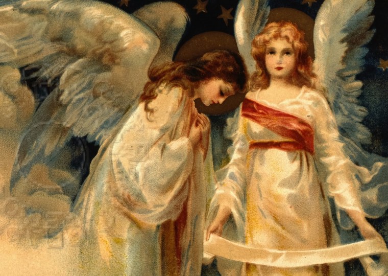 Два ангела на ветке