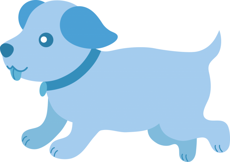 Мальтийская болонка Teacup