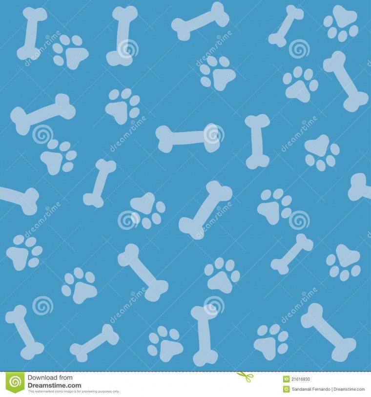 Две собаки на берегу моря