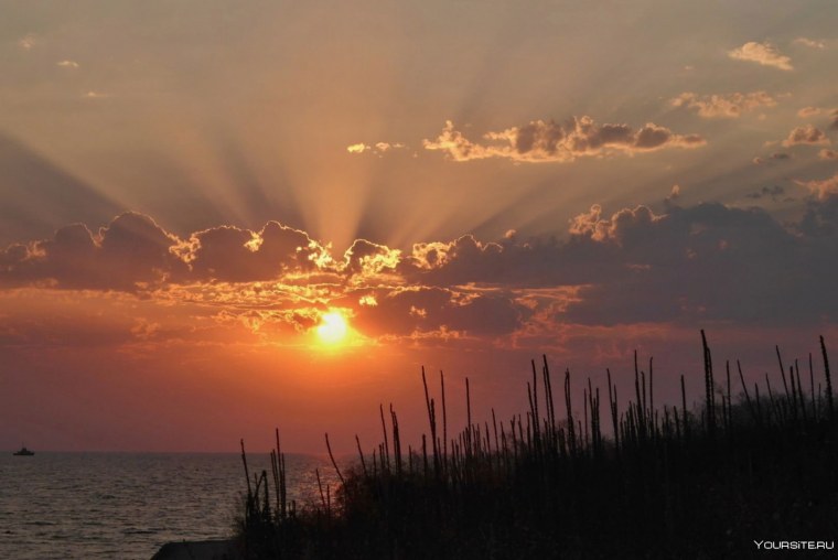Вечернее солнце