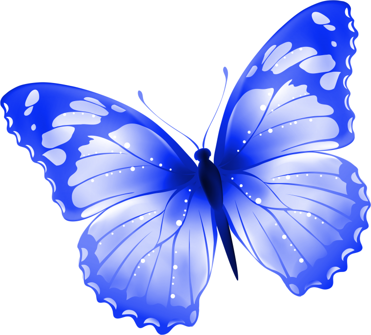 Бабочки на белом фоне