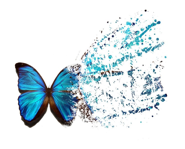 Бирюзовые бабочки на прозрачном фоне