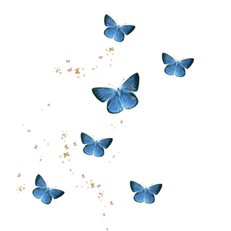 Бабочка голубянка