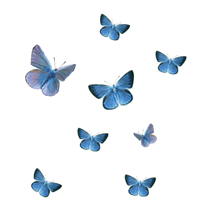 Синяя бабочка