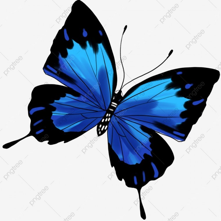 Много бабочек