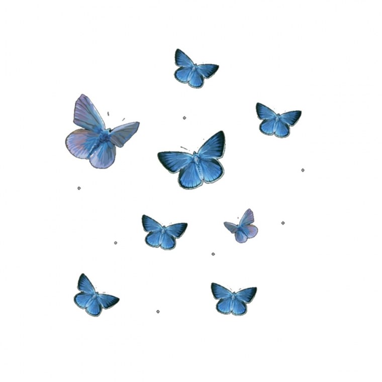 Синяя Тропическая бабочка