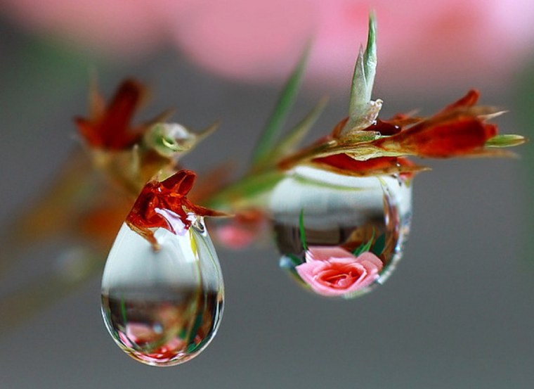 Весны прекрасные мгновения