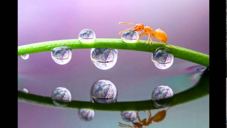 Макро позитив