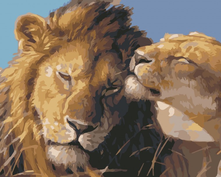 Картина по номерам Лев и львица