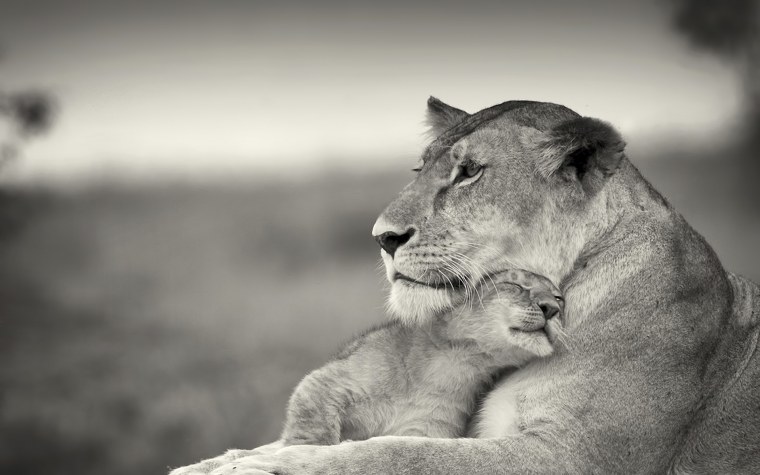 Самое лучшее лекарство для человека любовь и забота