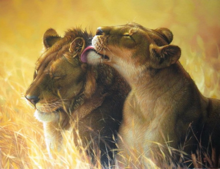 Львиная нежность картина