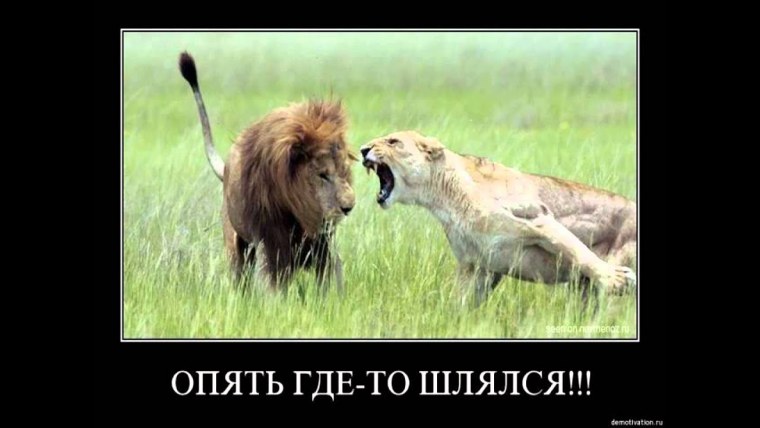 Борщ разогреть