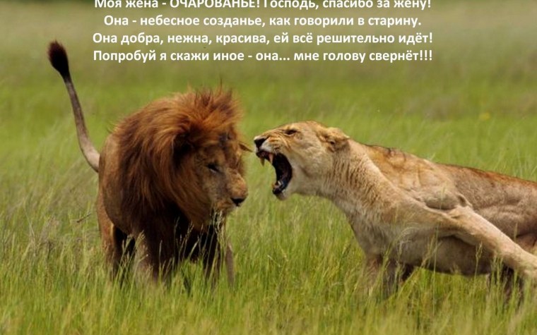 Демотиваторы про Львов