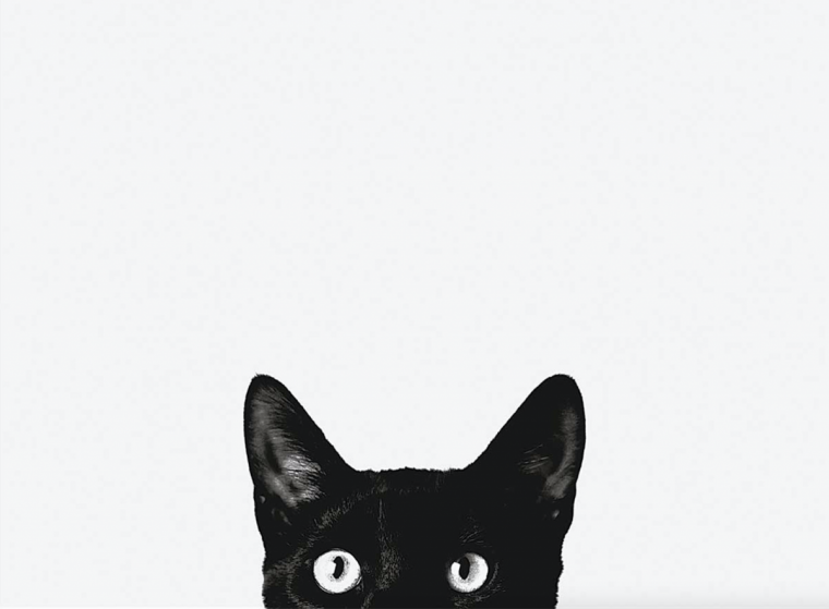 Кот подглядывает