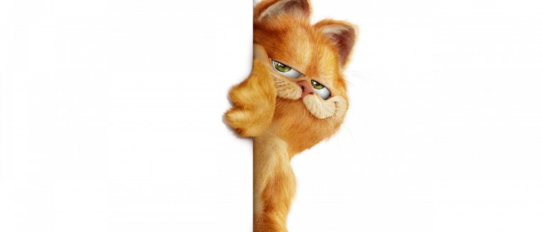 Кот заглядывает