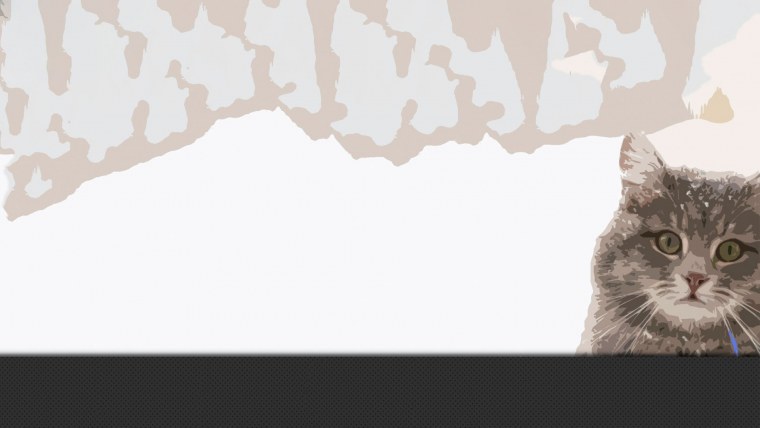 Кот на Светлом фоне