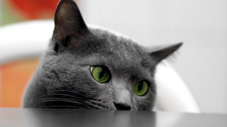 Выглядывает из за угла