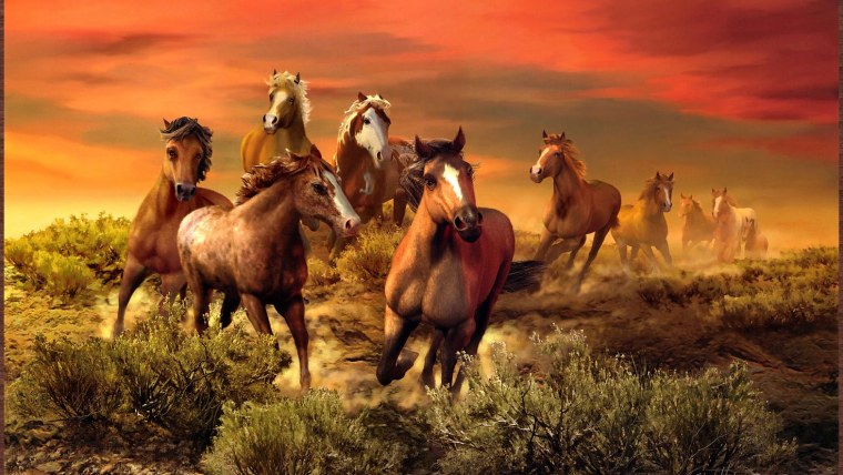 Тройка тройка тройка белых лошадей