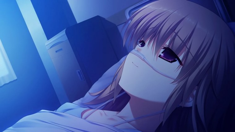 The Fruit of Grisaia аниме