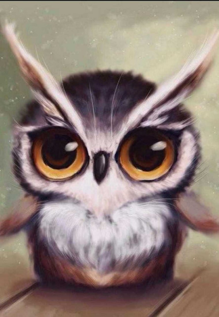 Сова мультяшная милая