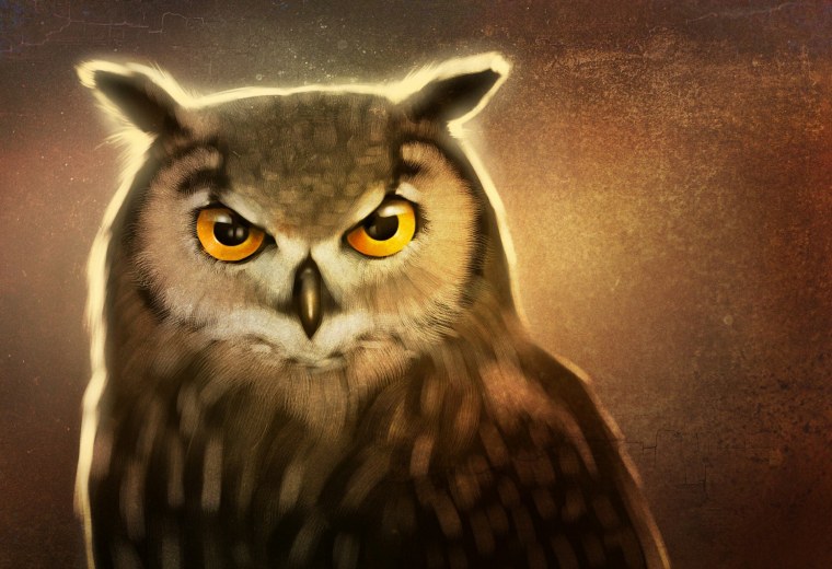 Сова аватар