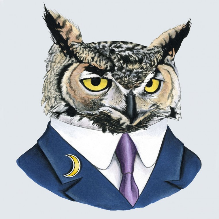 Аватарка Сова